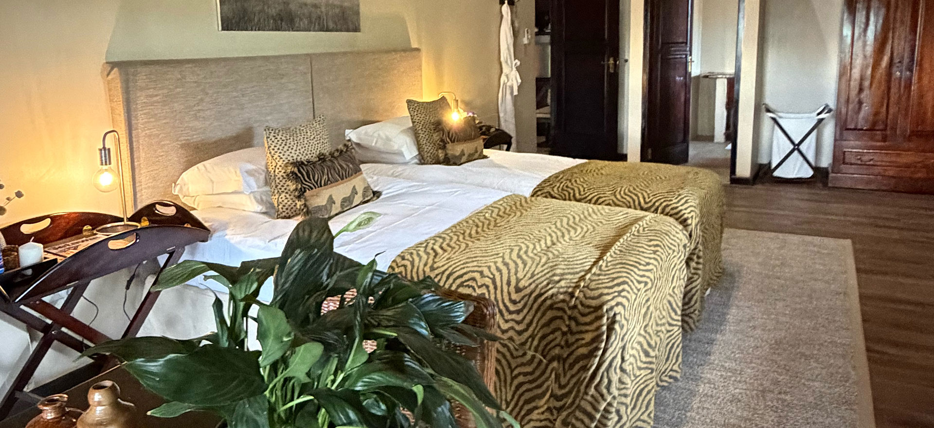 Kalahari Safari