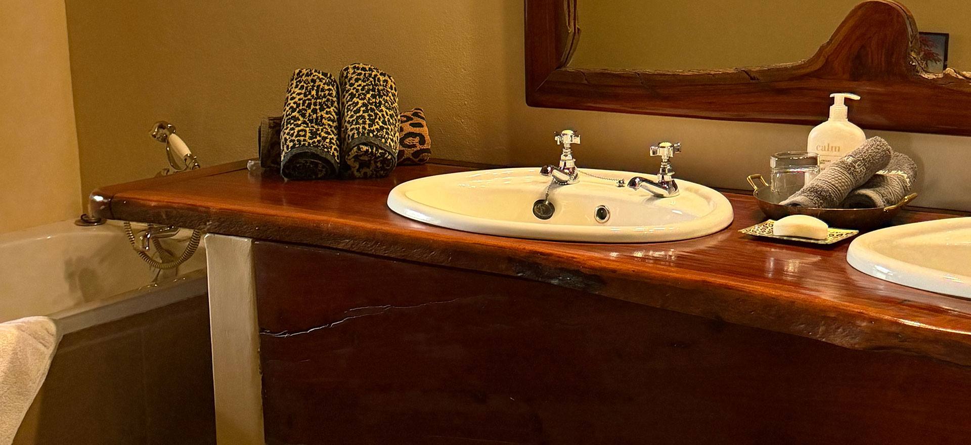 Kalahari Safari