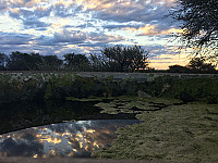  Photos